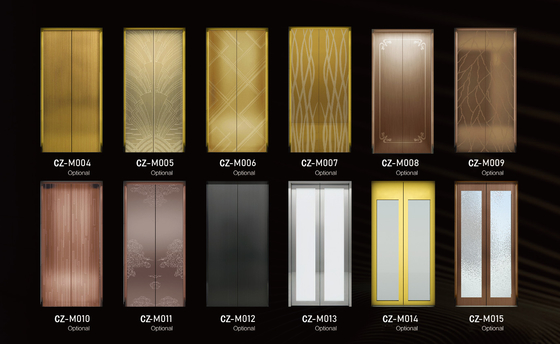 Forced Drive Type Home Elevator 1500mm Pit Depth Flexible Shaft Layout Villa Lift Optional